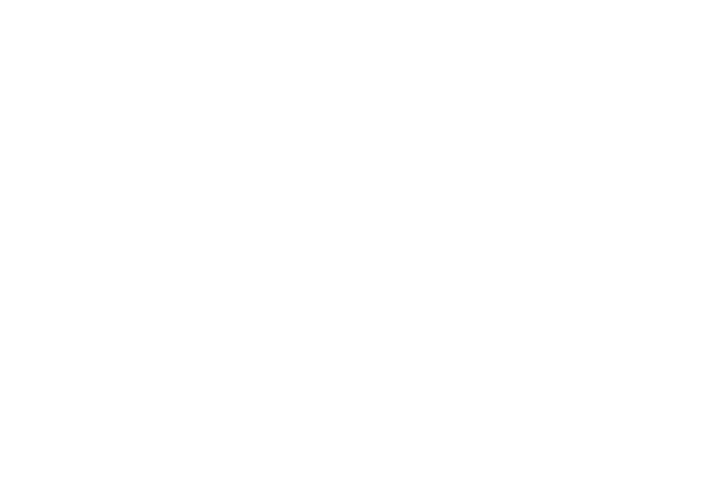 Saxiy Express Cargo - экспресс доставка из Китая